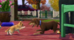 The SIMS 3 ペット